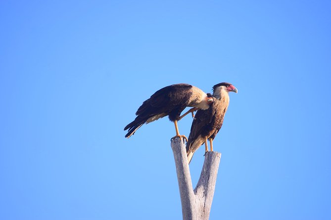 Cabo Original Real Baja 1000 Tour (Single ATV) - Guided Photo Opportunities