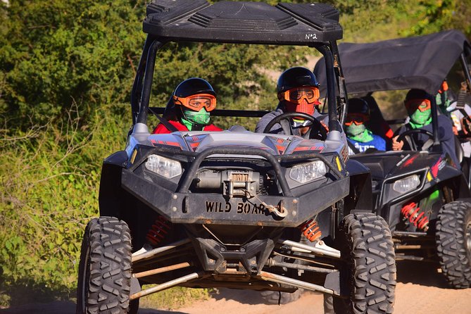 Cabo Original Real Baja 1000 Tour (UTV) - Reviews and Ratings