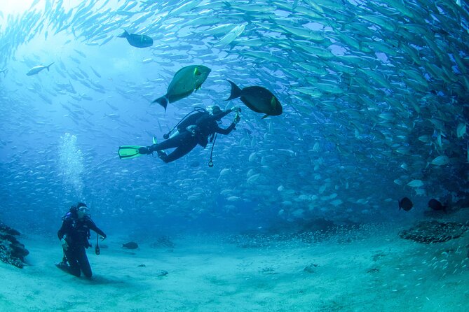 Cabo Pulmo 2 Tank Certified Dive With Lunch - Activity Description