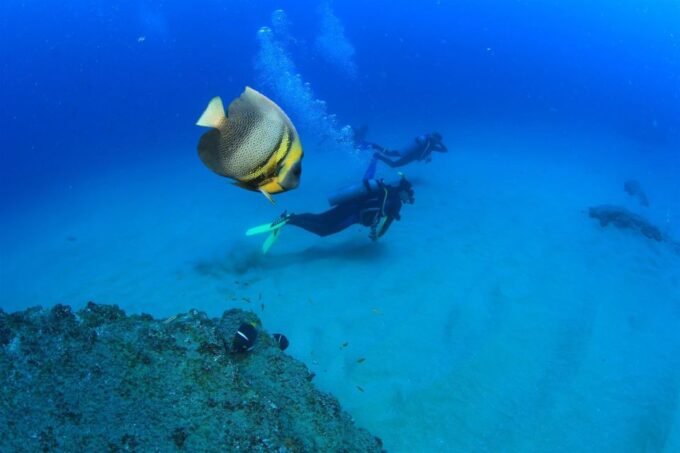 Cabo Pulmo Marine Park: Scuba Diving Excursion - Diving Equipment Rental