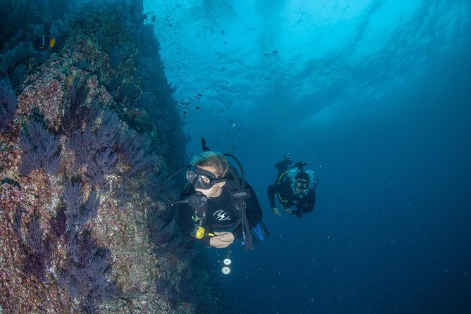 Cabo San Lucas 2 Tank Customized Dive Certified Only - Dive Experience Options