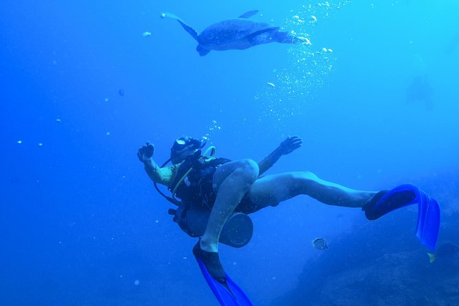 Cabo San Lucas 2 Tank Customized Dive Certified Only - Meeting and Pickup Details