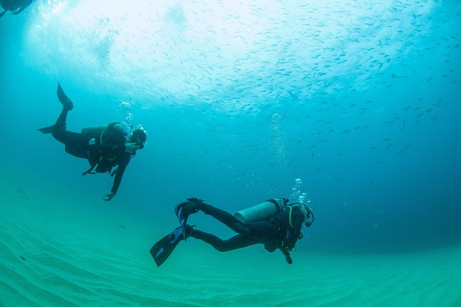 Cabo San Lucas 2 Tank Customized Dive Certified Only - Safety and Health Considerations