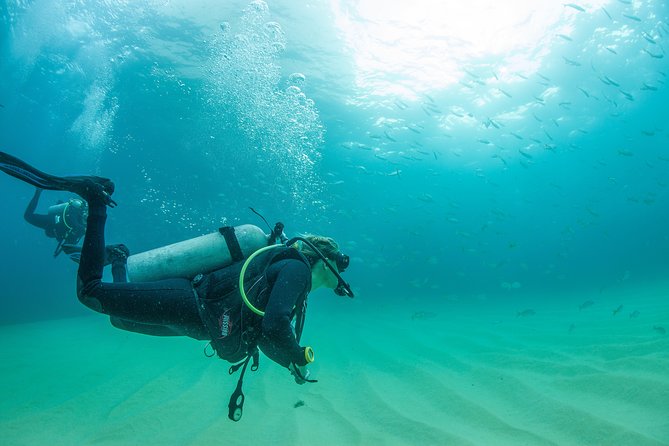 Cabo San Lucas 2 Tank Customized Dive Certified Only - Frequently Asked Questions