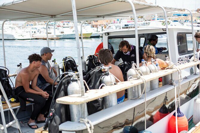 Cabo San Lucas 2 Tank Scuba Diving - Who Will Love This Tour?