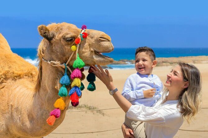 Cabo San Lucas 3-in-1 Combo: Sky Bike, Camels or Horses, and ATV - A Deep Dive into the Experience