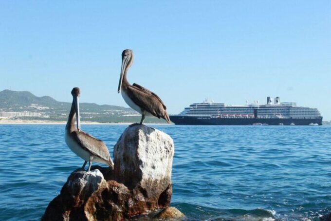 Cabo San Lucas: 45-Minute Glass-Bottom-Boat Tour - Frequently Asked Questions