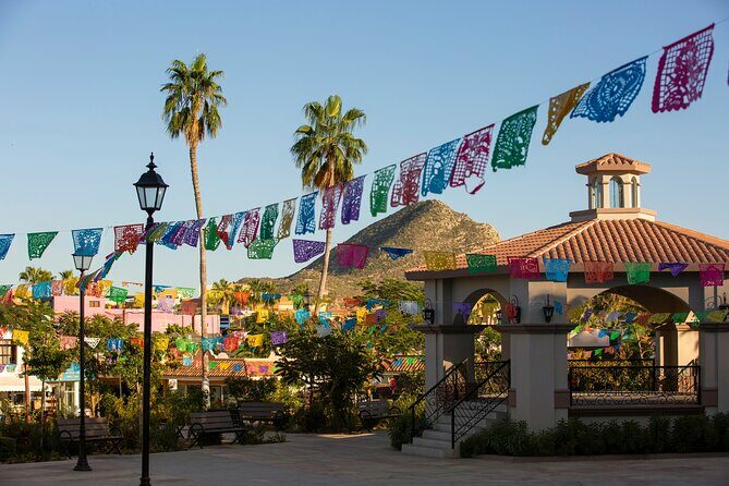 Cabo San Lucas Arch Cruise and Shopping Tour - Key Points