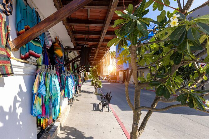 Cabo San Lucas Arch Cruise and Shopping Tour - Who Should Consider This Tour?