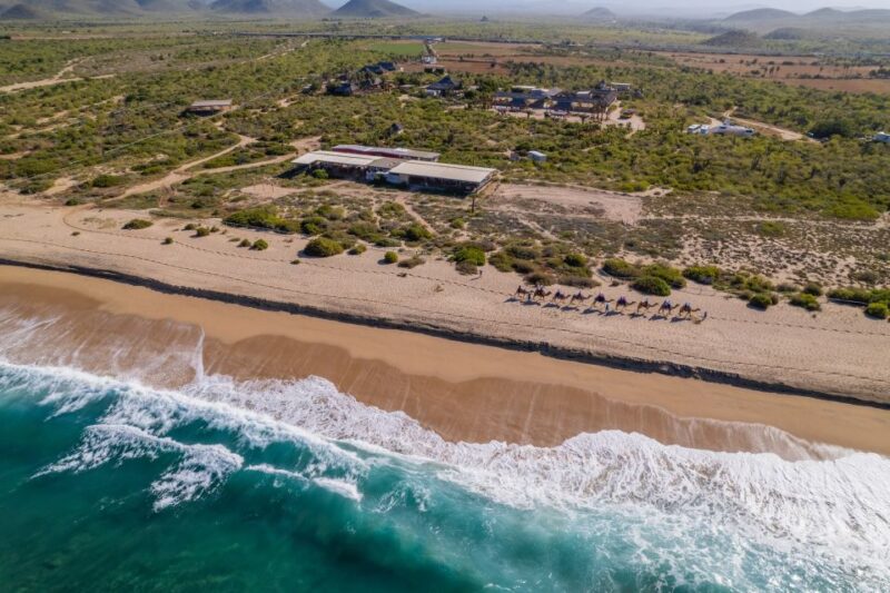 Cabo San Lucas: ATV Desert Tour With Mexican Lunch - Participant Restrictions and Requirements