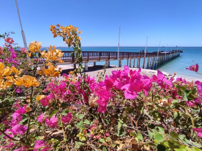 Cabo San Lucas: Balandra Beach and City Tour - Cancellation and Payment Policy