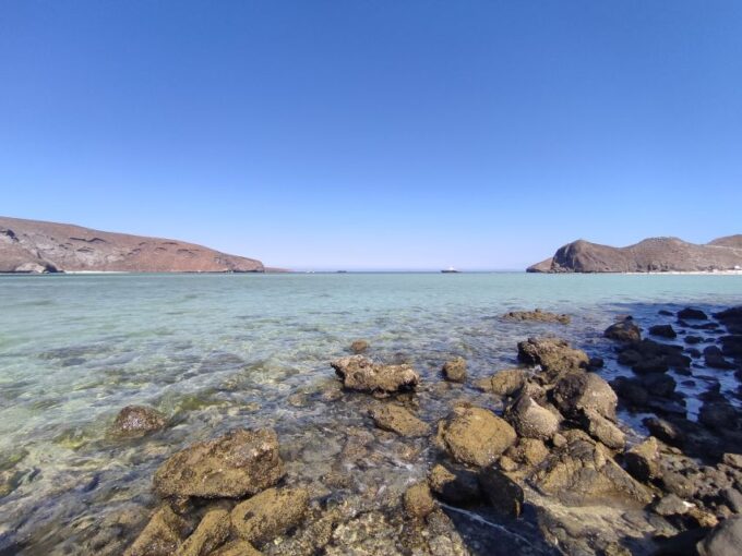 Cabo San Lucas: Balandra Beach and City Tour - Traveler Feedback and Ratings