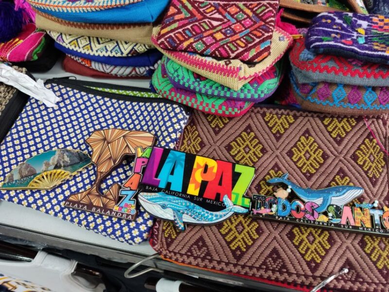 Cabo San Lucas: Balandra Beach and City Tour - Key Points