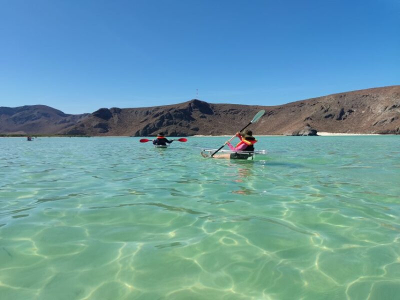 Cabo San Lucas: Balandra Beach and City Tour - Transportation and Accessibility
