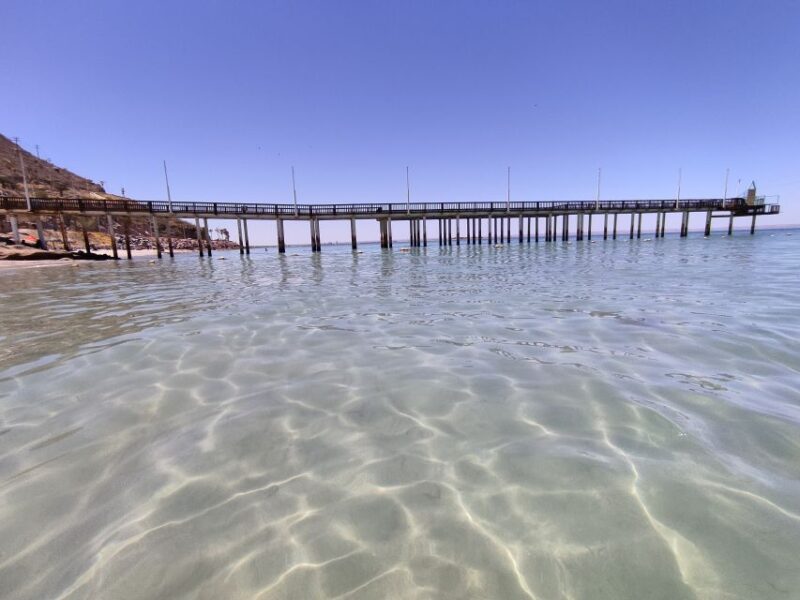 Cabo San Lucas: Balandra Beach and City Tour - Customer Feedback