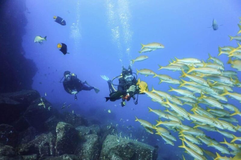 Cabo San Lucas Bay: SCUBA Dive X2 Tanks - Booking Information