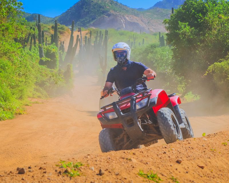 Cabo San Lucas: Beach & Desert ATV Tour With Tequila Tasting - Tour Overview and Pricing