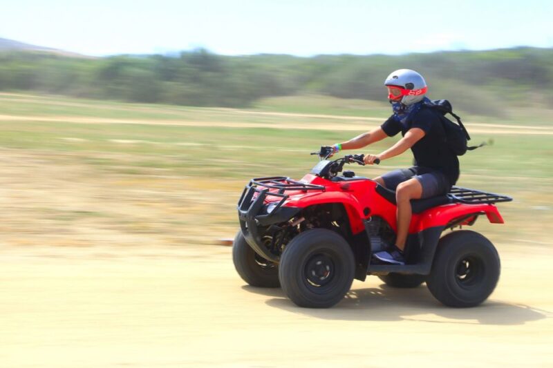 Cabo San Lucas: Beach & Desert ATV Tour With Tequila Tasting - Customer Reviews and Ratings