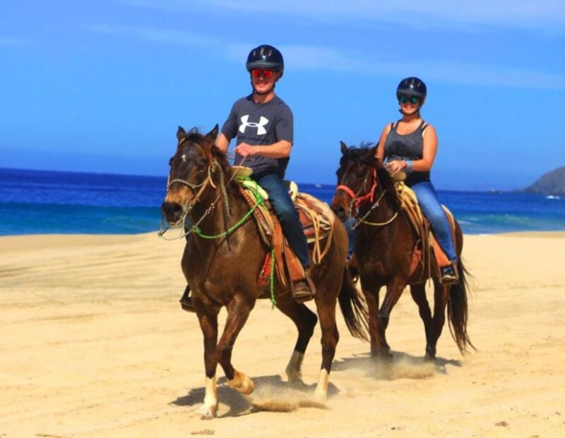 Cabo San Lucas: Beach & Desert Horseback Riding Tour - Activity Highlights