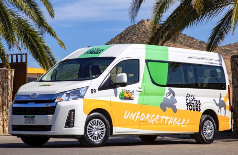 Cabo San Lucas: Beach & Desert Horseback Riding Tour - Customer Feedback