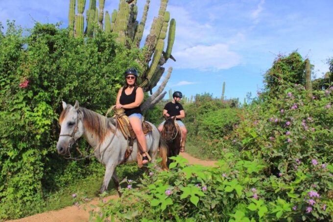 Cabo San Lucas: Beach & Desert Horseback Riding Tour - Booking Information