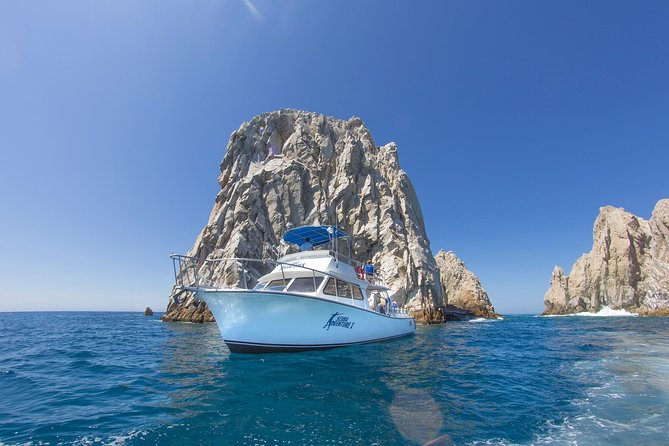 Cabo San Lucas Beginner Scuba Diving Experience - Safe Underwater Exploration