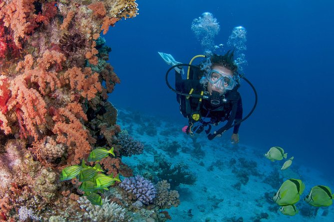 Cabo San Lucas Beginner Scuba Diving Experience - First Dive in Shallow Pool