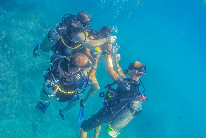 Cabo San Lucas Beginner Scuba Diving Experience - Diving Near the Arch