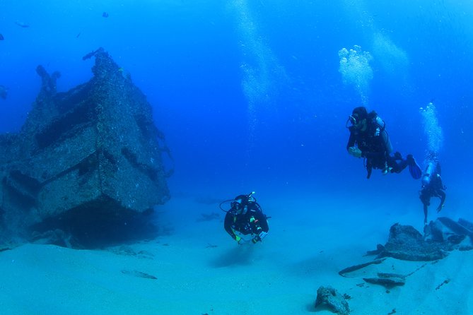 Cabo San Lucas Beginner Scuba Diving Experience - Small Group Size