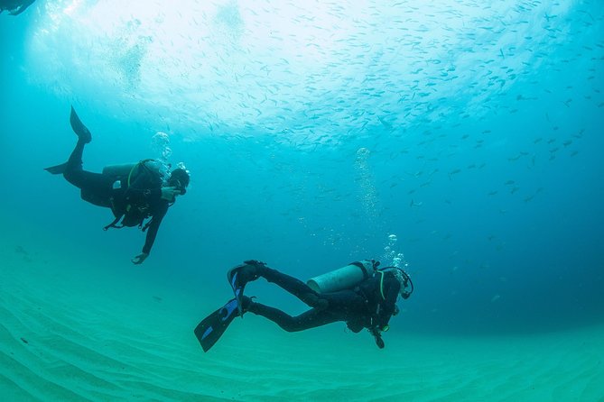 Cabo San Lucas Beginner Scuba Diving Experience - Booking and Pickup Details