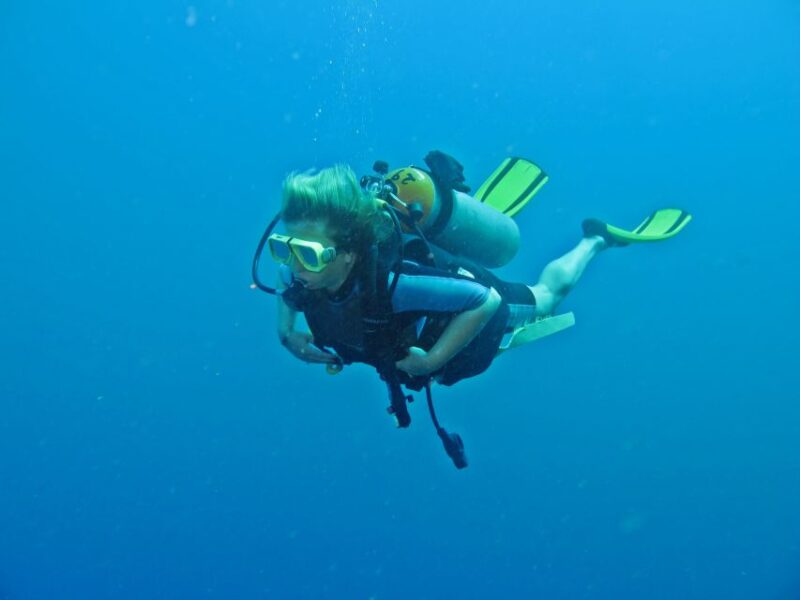 Cabo San Lucas: Beginners Diving Experience W/ Water & Snack - Key Points