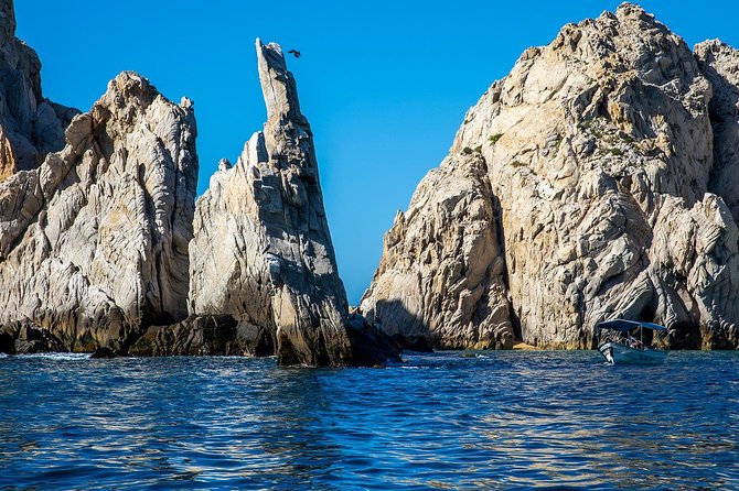 Cabo San Lucas Boat Tour - Included Amenities