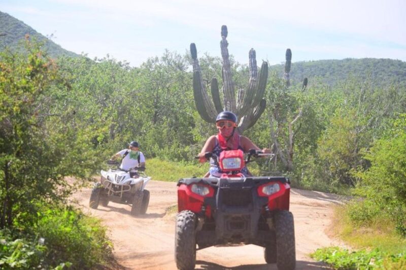 Cabo San Lucas: Cabo Original Real Baja 1000 ATV or UTV Tour - Inclusions and Equipment
