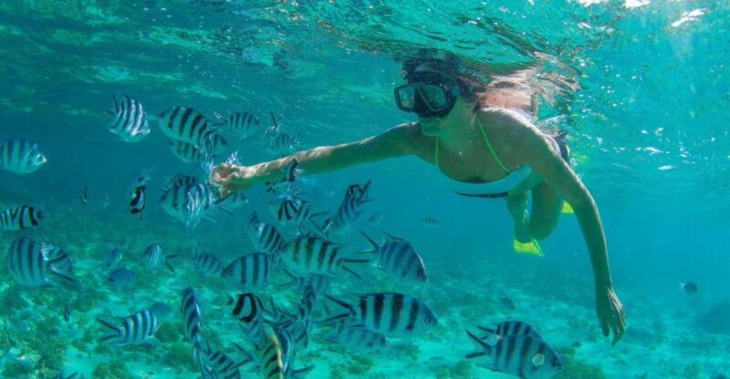 Cabo San Lucas: Cabo Pulmo Snorkeling Expedition - Experience Highlights