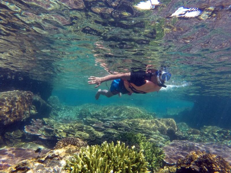 Cabo San Lucas: Cabo Pulmo Snorkeling Expedition - Important Information and Restrictions