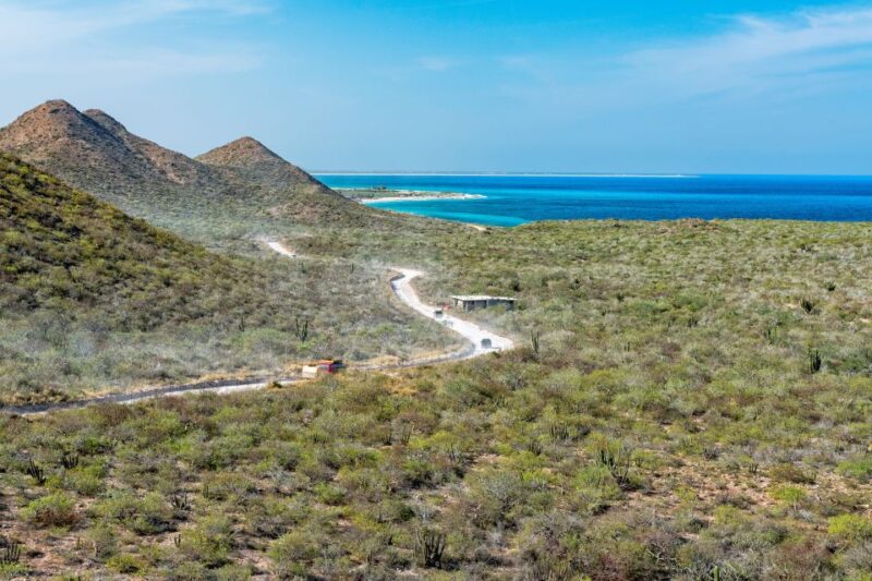 Cabo San Lucas: Cabo Pulmo Snorkeling Expedition - Customer Feedback and Recommendations