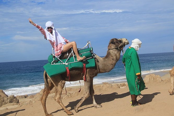 Cabo San Lucas Camel Ride and Encounter on Beach and Desert - Logistics and Pricing