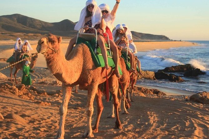 Cabo San Lucas Camel Ride and Encounter on Beach and Desert - Group Size and Accessibility