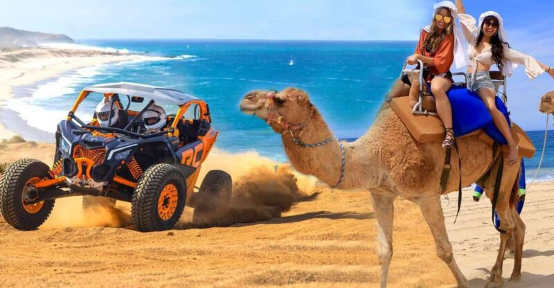 Cabo San Lucas: Camel Ride & Off-Road UTV Combo Adventure - Key Points