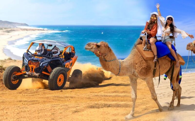 Cabo San Lucas: Camel Ride & Off-Road UTV Combo Adventure - Whats Included