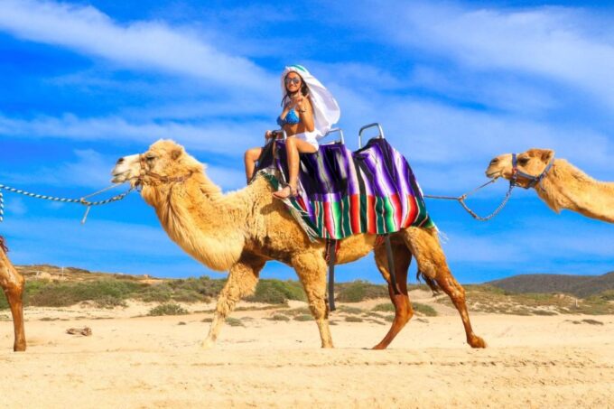 Cabo San Lucas: Camel Ride & Off-Road UTV Combo Adventure - Getting to the Venue
