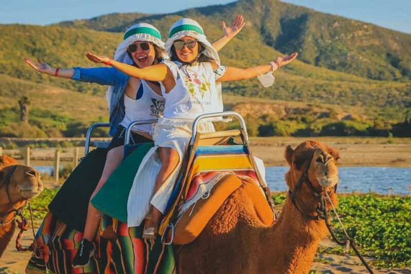 Cabo San Lucas: Camel Ride on the Beach - Key Points