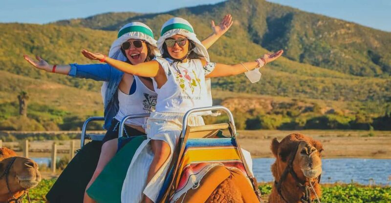 Cabo San Lucas: Camel Ride on the Beach - Experience Highlights