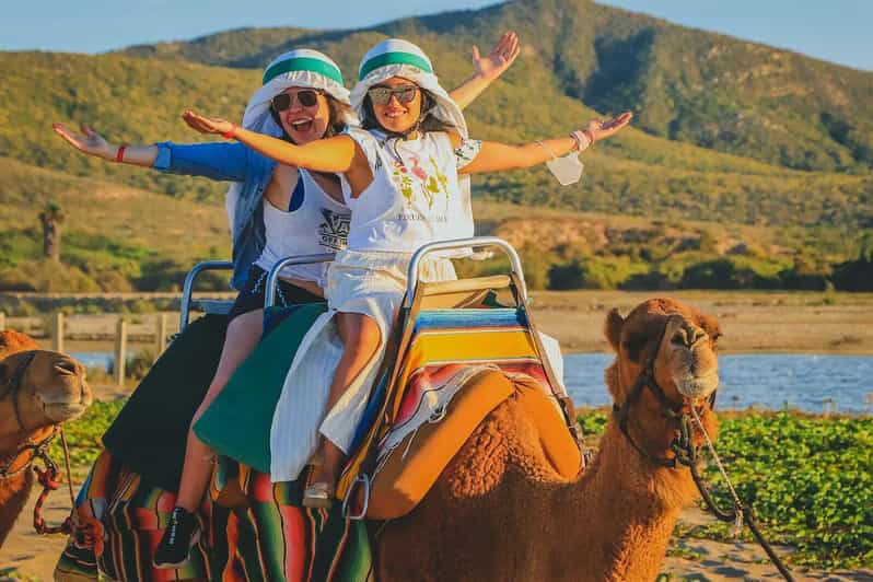 Cabo San Lucas: Camel Ride on the Beach - Inclusions
