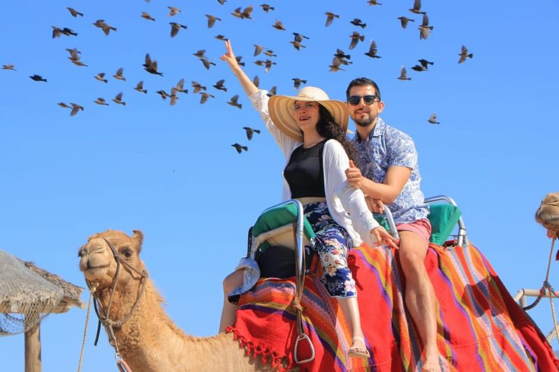 Cabo San Lucas: Camel Ride on the Beach - Exclusions