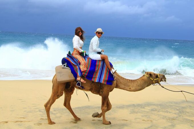 Cabo San Lucas: Camel Ride on the Beach - Customer Feedback