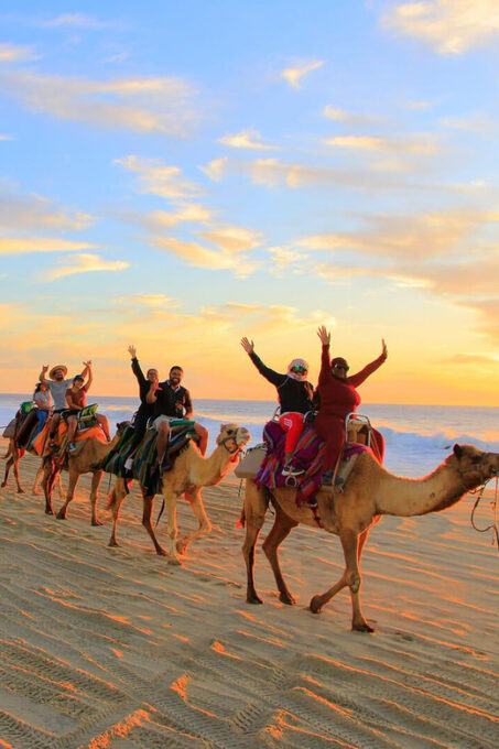 Cabo San Lucas: Camel Ride on the Beach - Safety and Accessibility