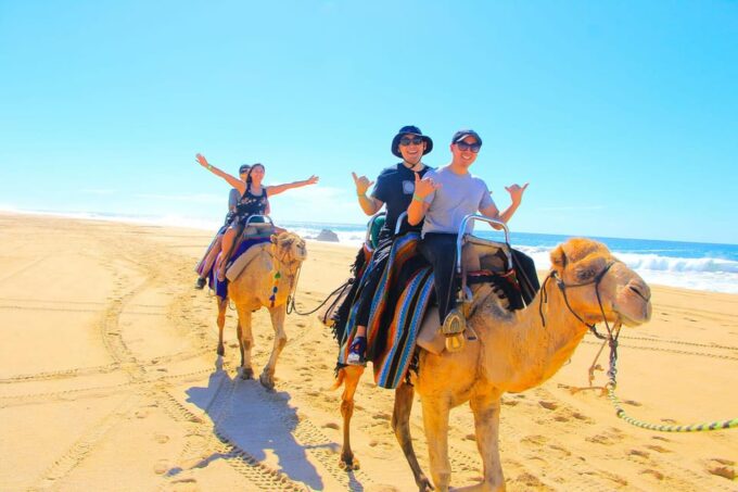 Cabo San Lucas: Camel Ride on the Beach - Frequently Asked Questions