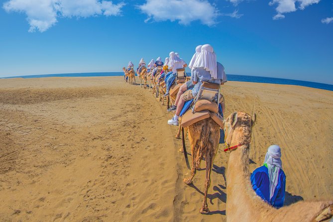 Cabo San Lucas Camel Ride With Mexican Buffet and Tequila Tasting - Lunch and Ocean Views