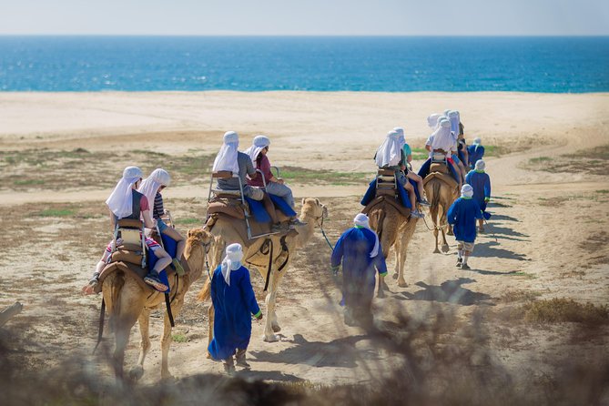 Cabo San Lucas Camel Ride With Mexican Buffet and Tequila Tasting - Tequila Tasting Session